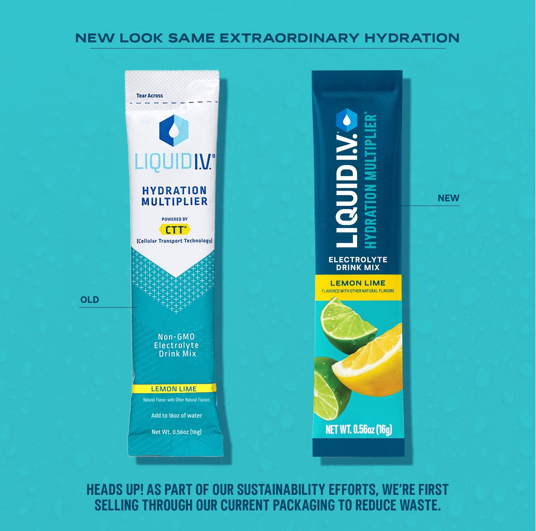 Hydration Best Sellers Bundle - Essential Bundle Pack
